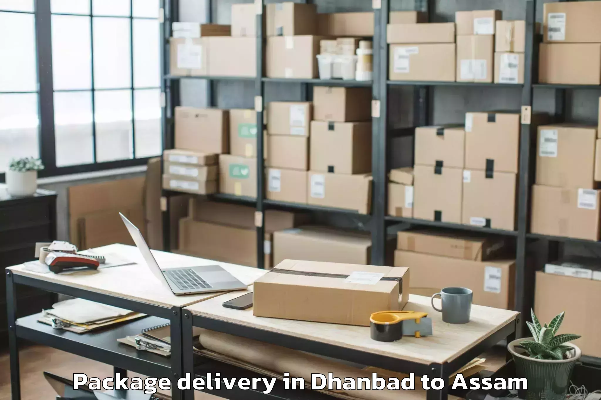 Professional Dhanbad to Bokajan Package Delivery